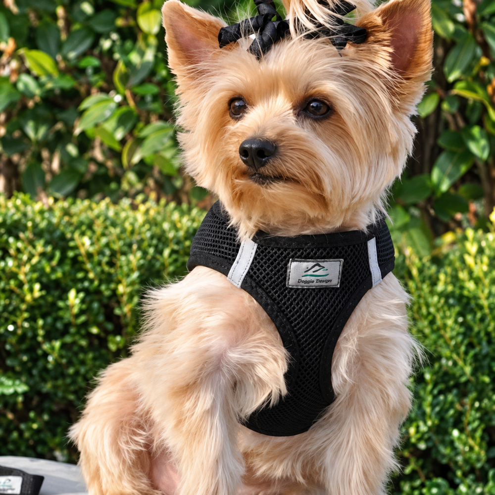 Dog wearing a Candy Pink American River harness on a fall walk
