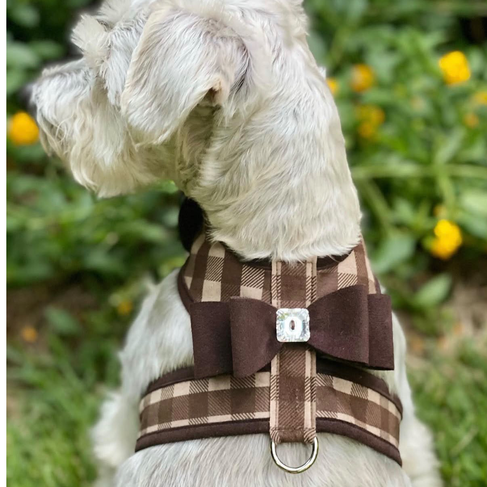 Susan Lanci Tinkie Harness in Fawn Gingham with Chocolate Big Bow