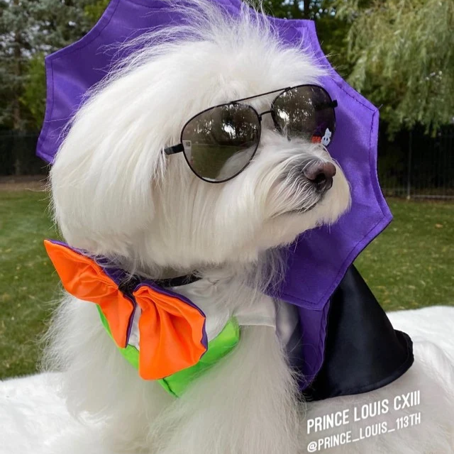 Dogula Costume
