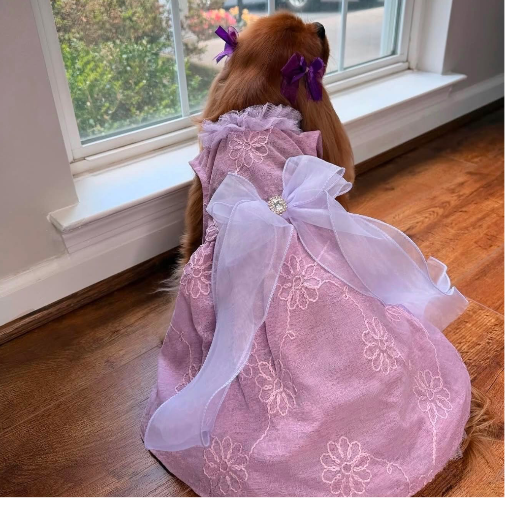 Wooflink Fairy Tale Dress in Violet