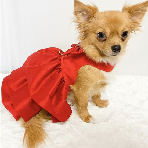 Chewy Vuiton Purse Toy Red Trim