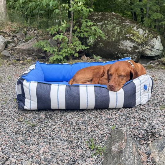 Terrace Bed in Yacht Club Stripe