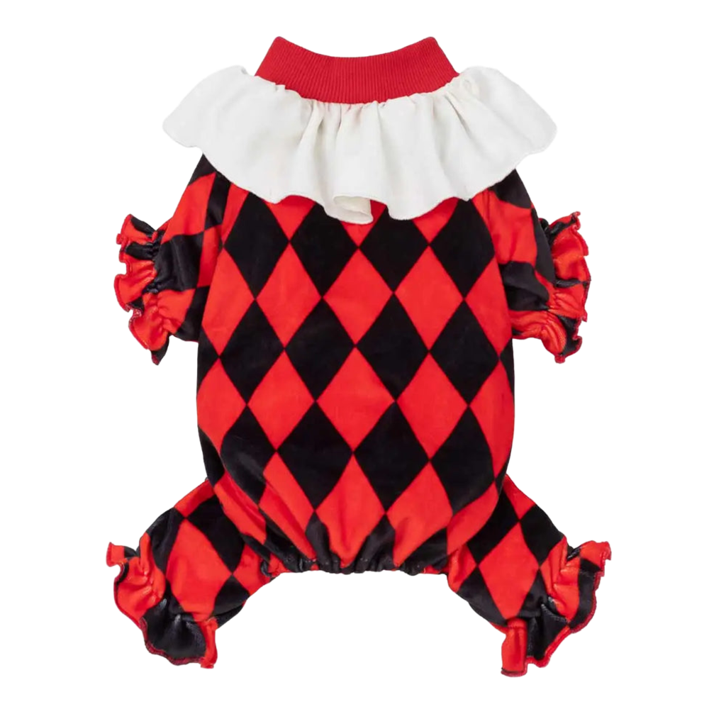 Halloween Harlequin Clown Dog Costume