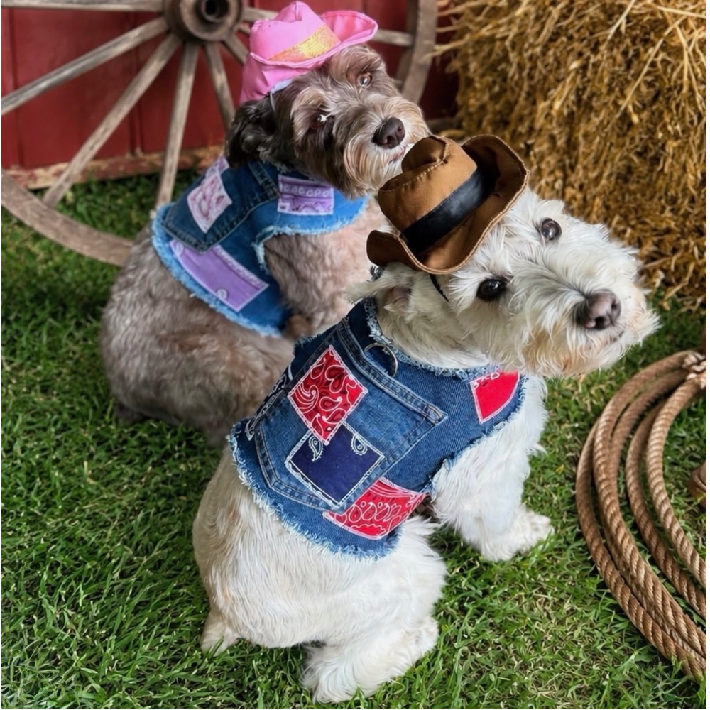 Americana Patchwork Harness