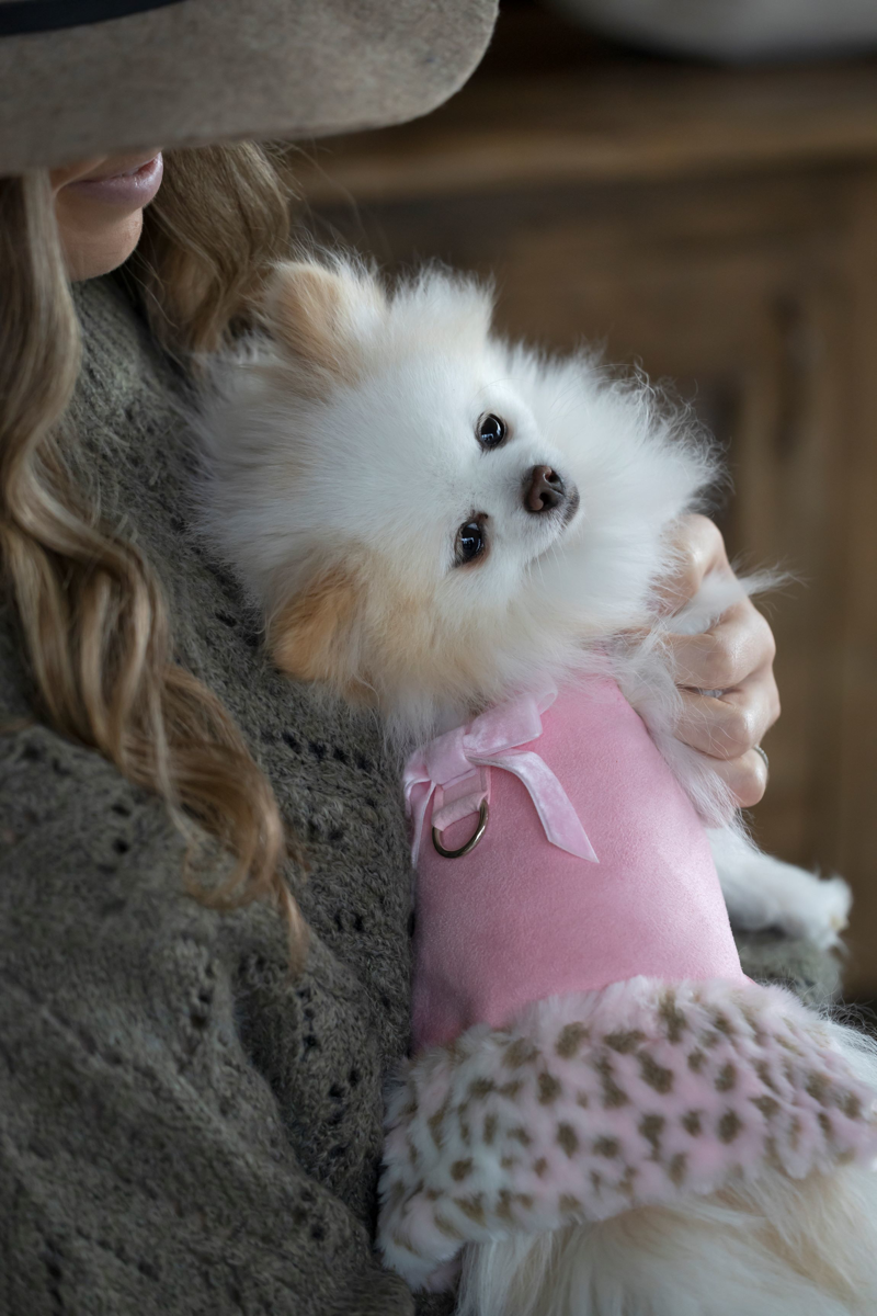 A white dog wearing a pink coat, held close by its person