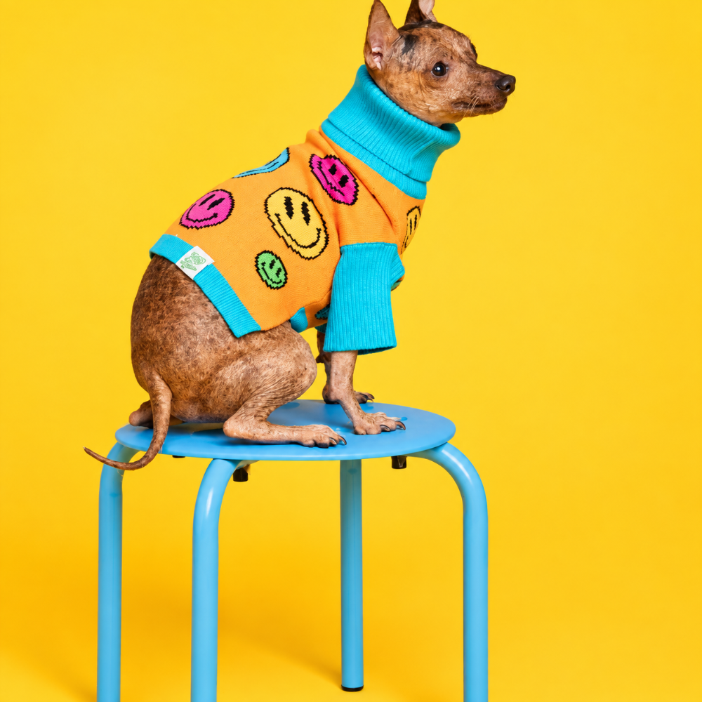 Matching human and dog sweater look