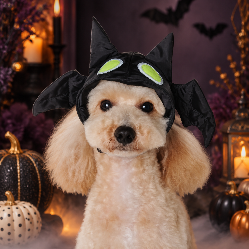 Bat Hat for dogs