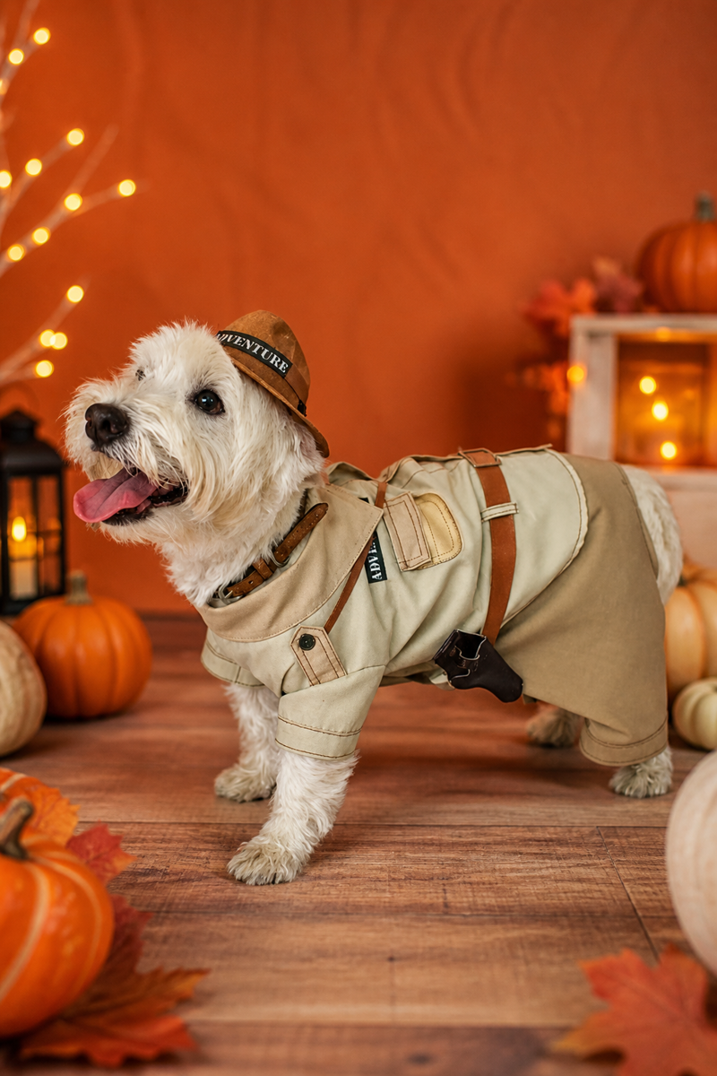 Dog in an adventure-themed Halloween costume