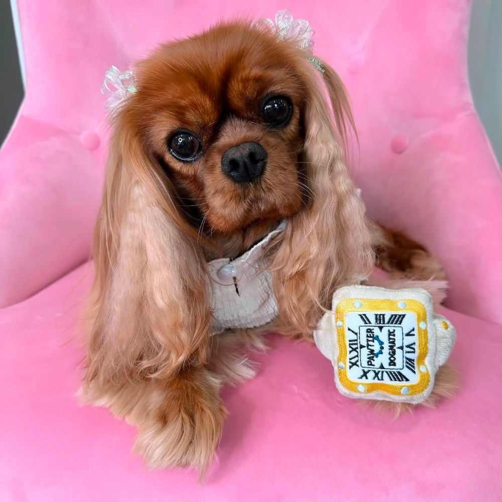 Pawtier Watch Plush Toy