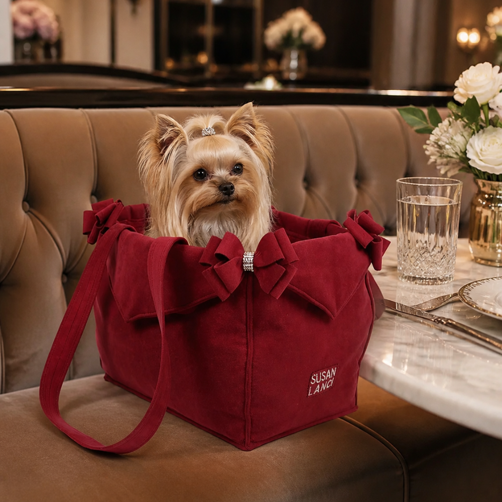 Burgundy Nouveau Bow carrier