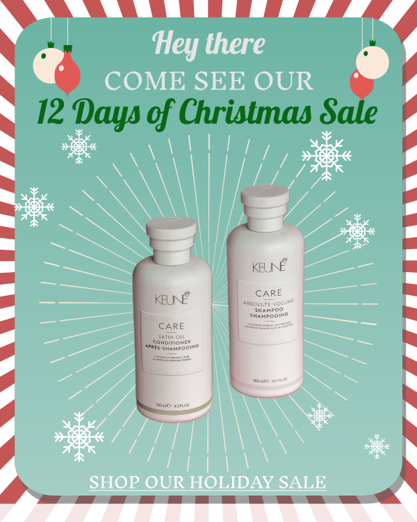 12 days of christmas email graphic