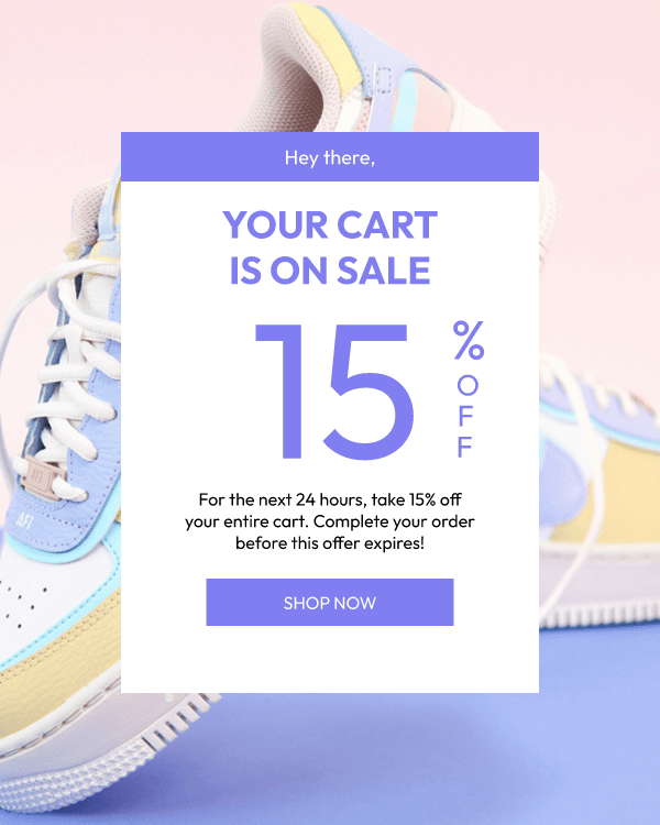 abandoned cart email example