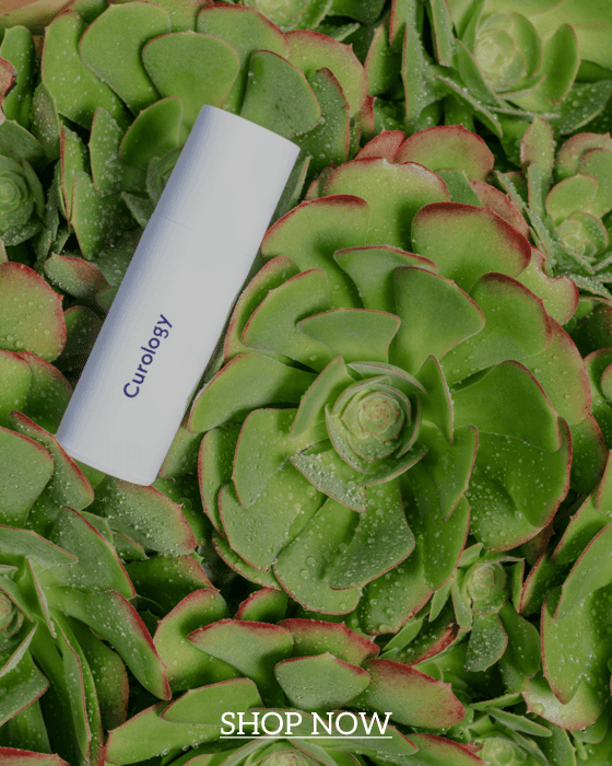 site abandonment email